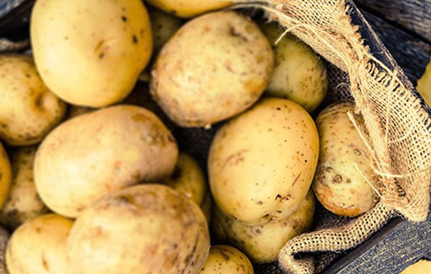 Aardappel Small